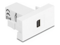 Delock Easy 45 Module mini DisplayPort female to mini DisplayPort female