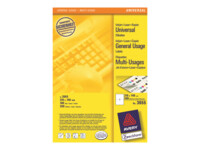 Avery Etiketter til flere formål 210 x 148 mm 200etikette(r)