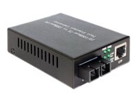 DeLOCK Fibermedieomformer Ethernet Fast Ethernet