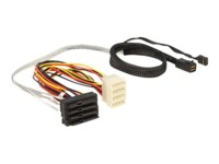 DeLOCK Serial Attached SCSI (SAS) internt kabel 50cm