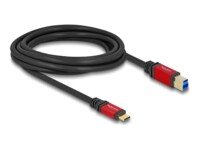 DeLOCK USB Type-C kabel 3m Sort Rød
