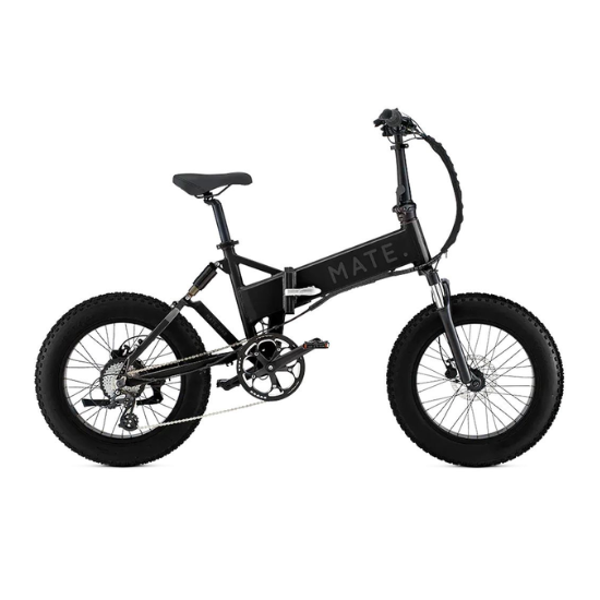 Mate X E-bike