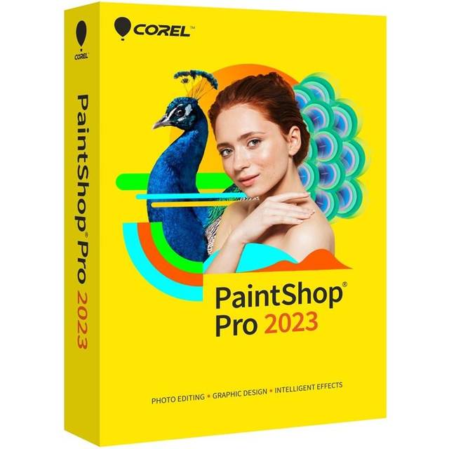 Corel PaintShop Pro 2023 (Key)